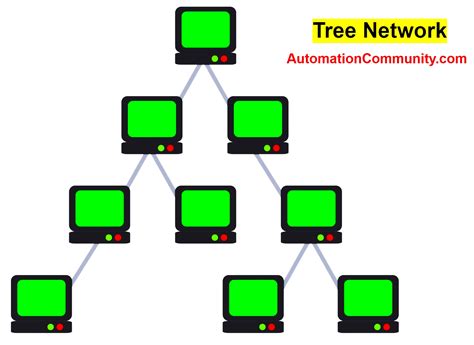 The network .